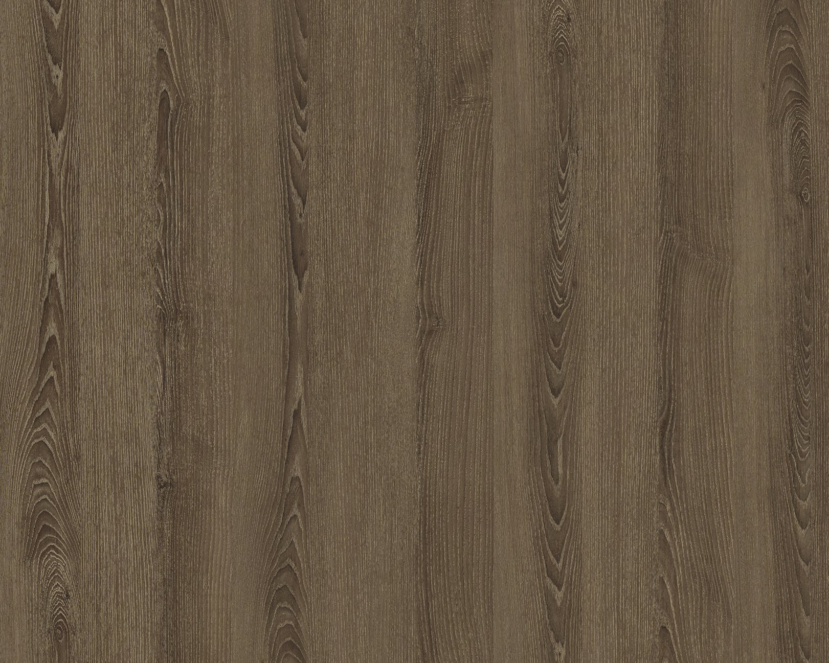 Sicilian Ash