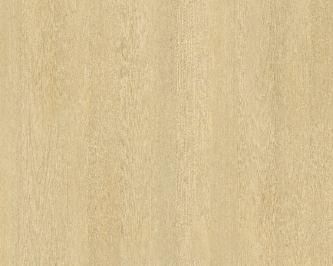 LAMITAK | Shizuoka Oak