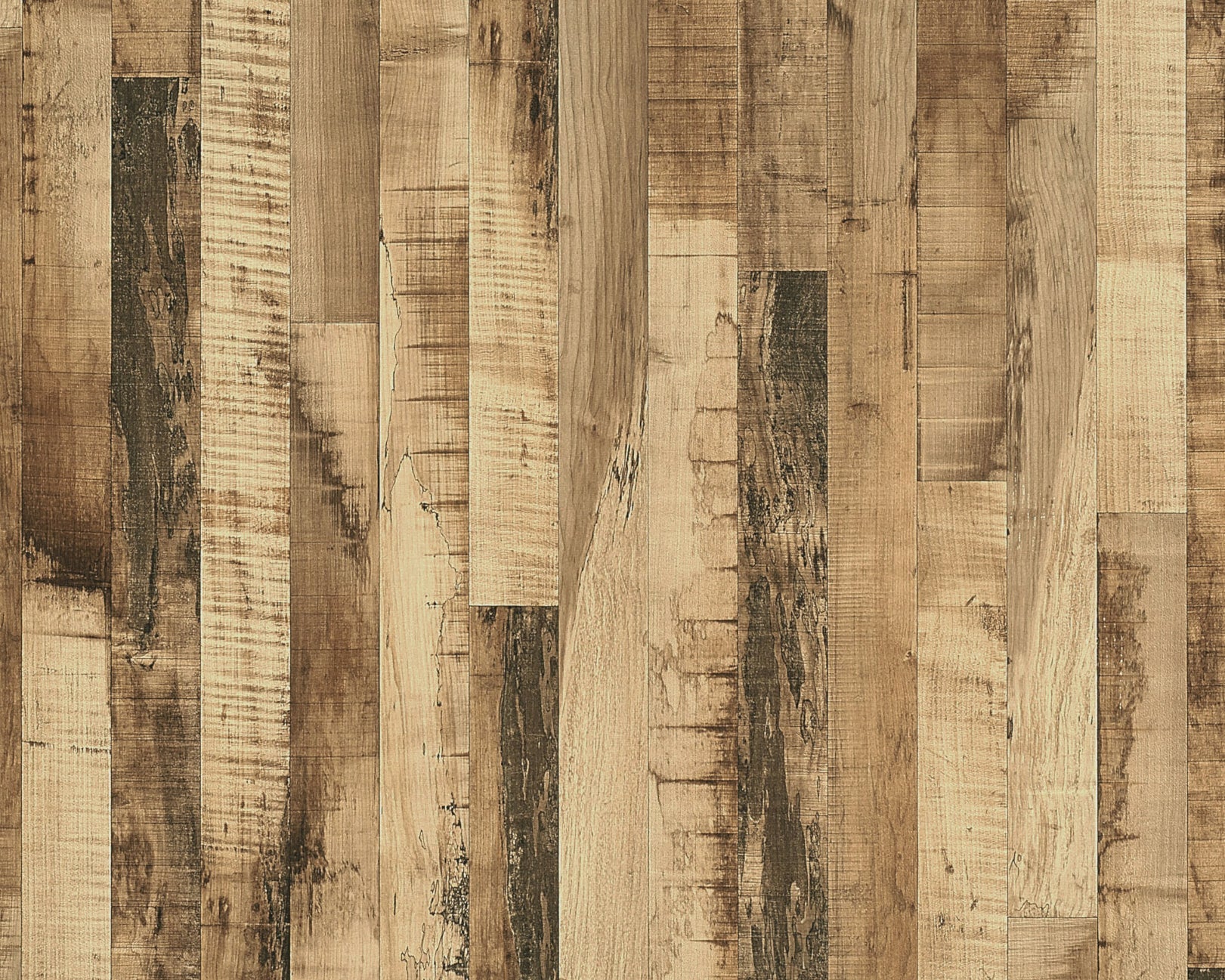 Corona Maple