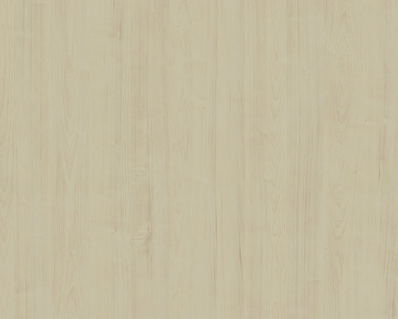 Laurentian Maple