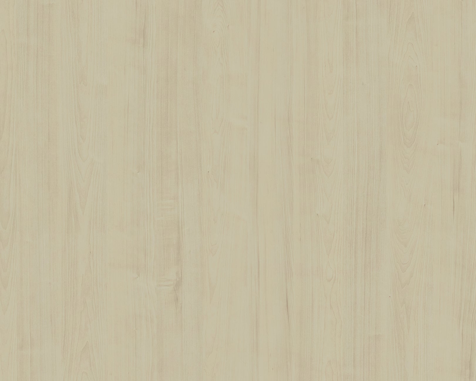 Laurentian Maple