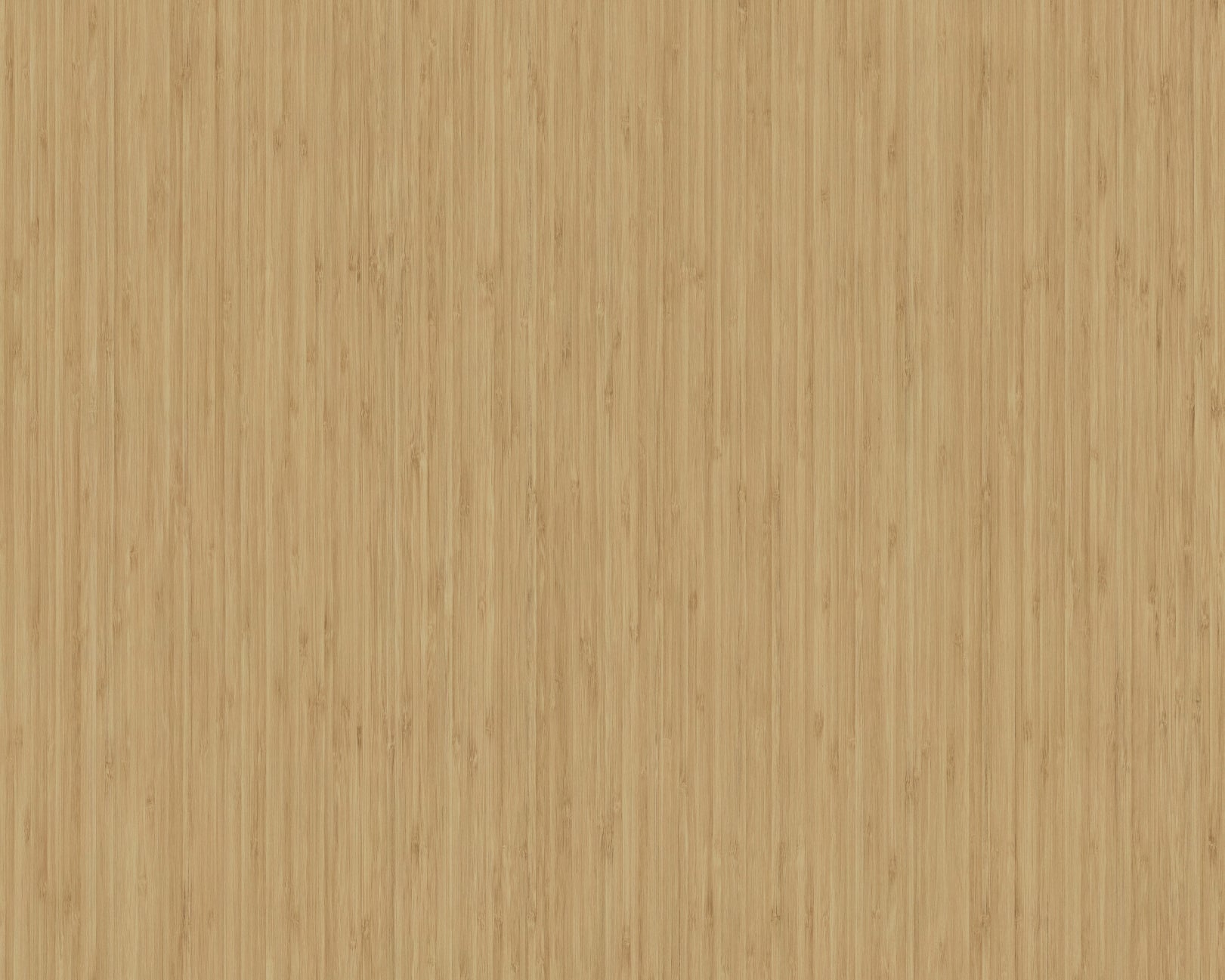 Sagano Bamboo