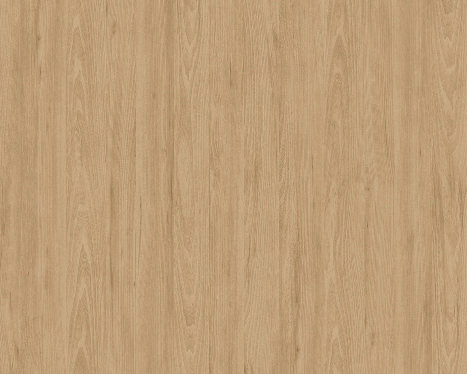 Tivoli Elm