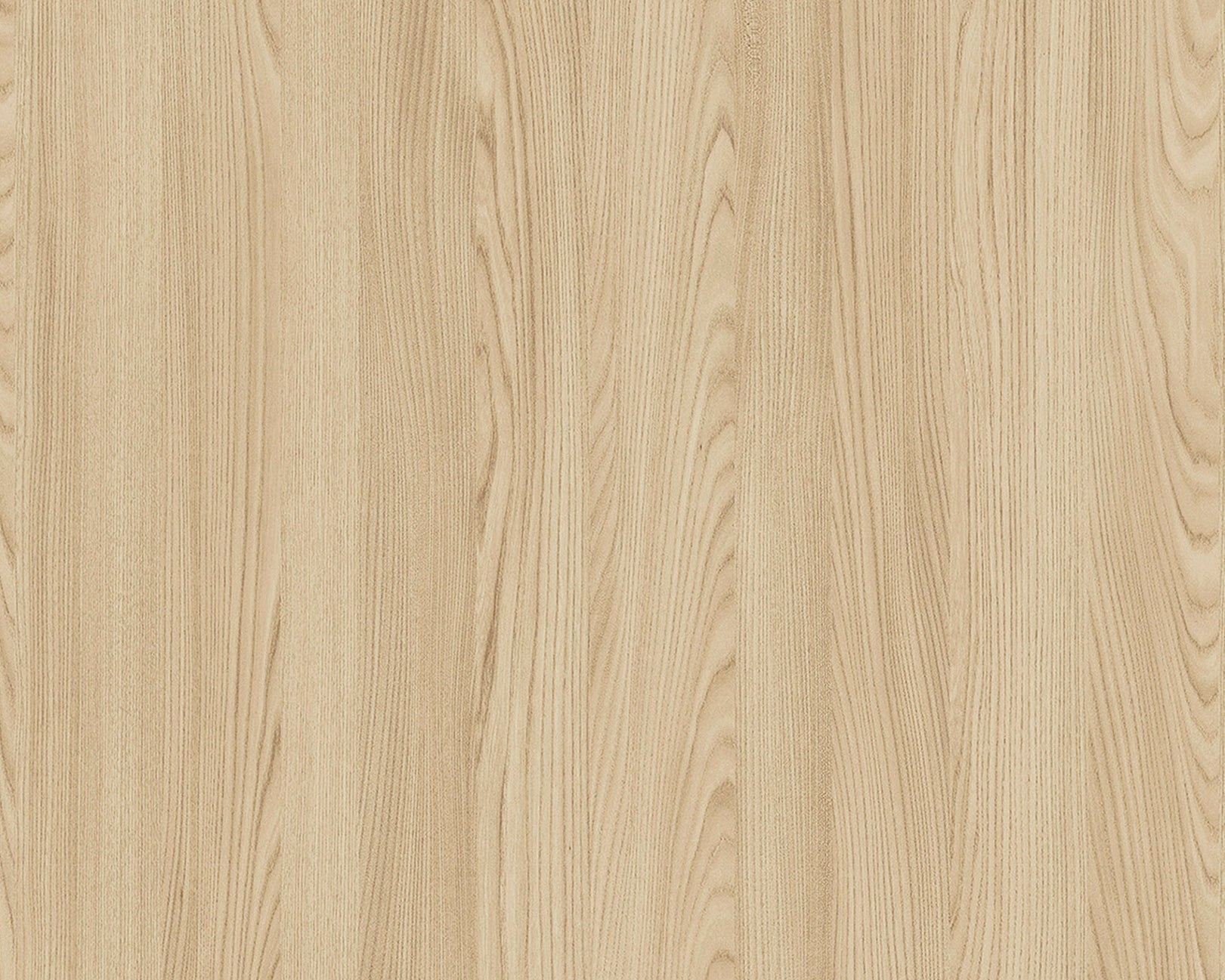 Hoffmann Elm