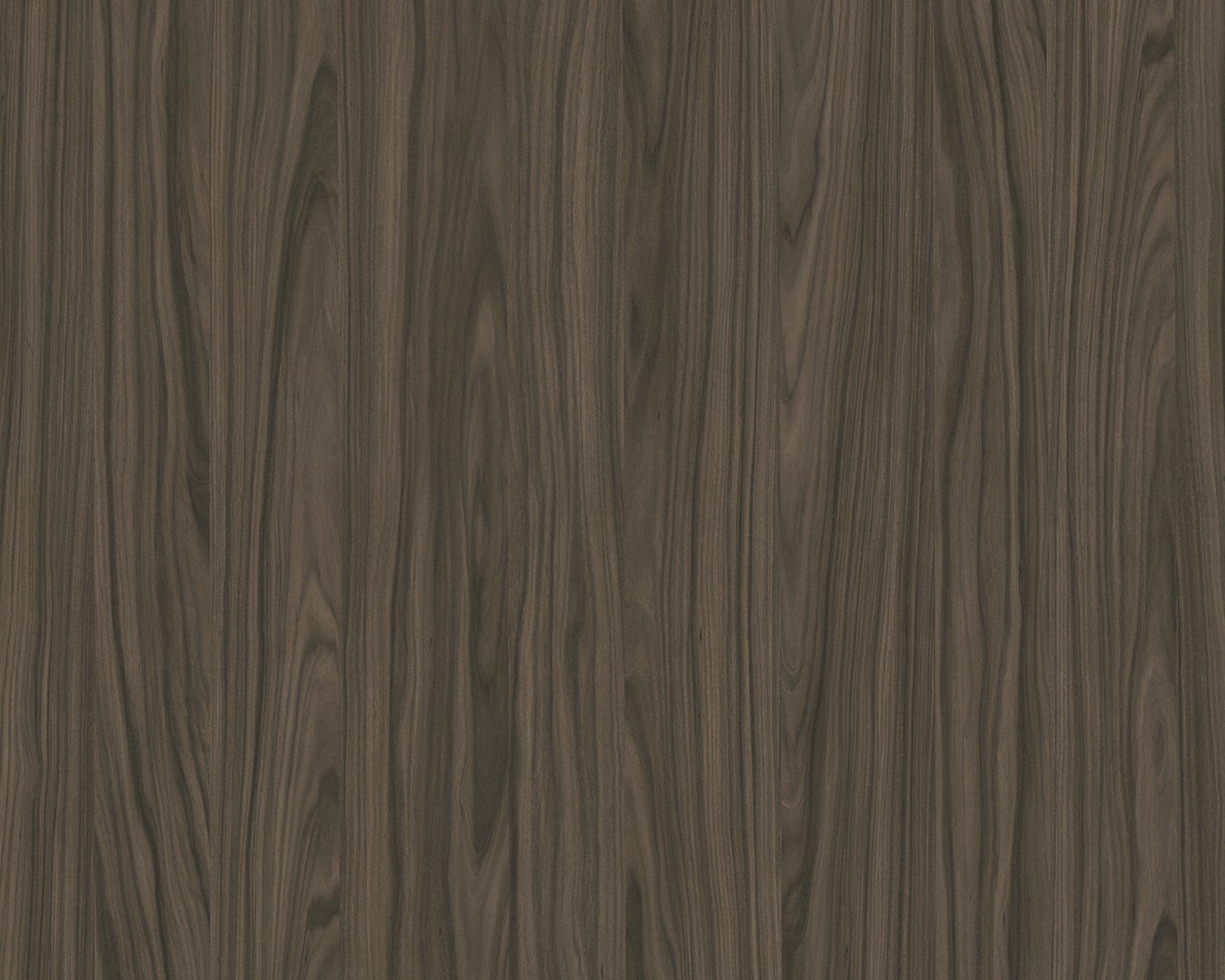 Cuiban Palisander