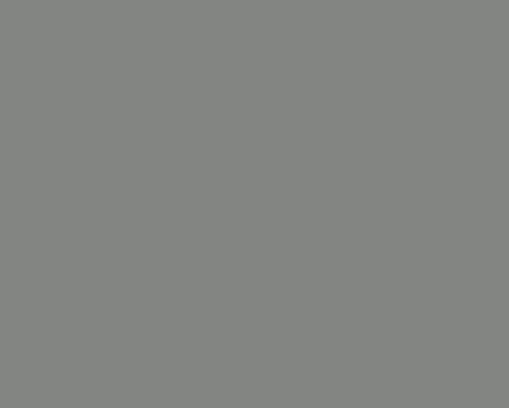 Pewter Pro