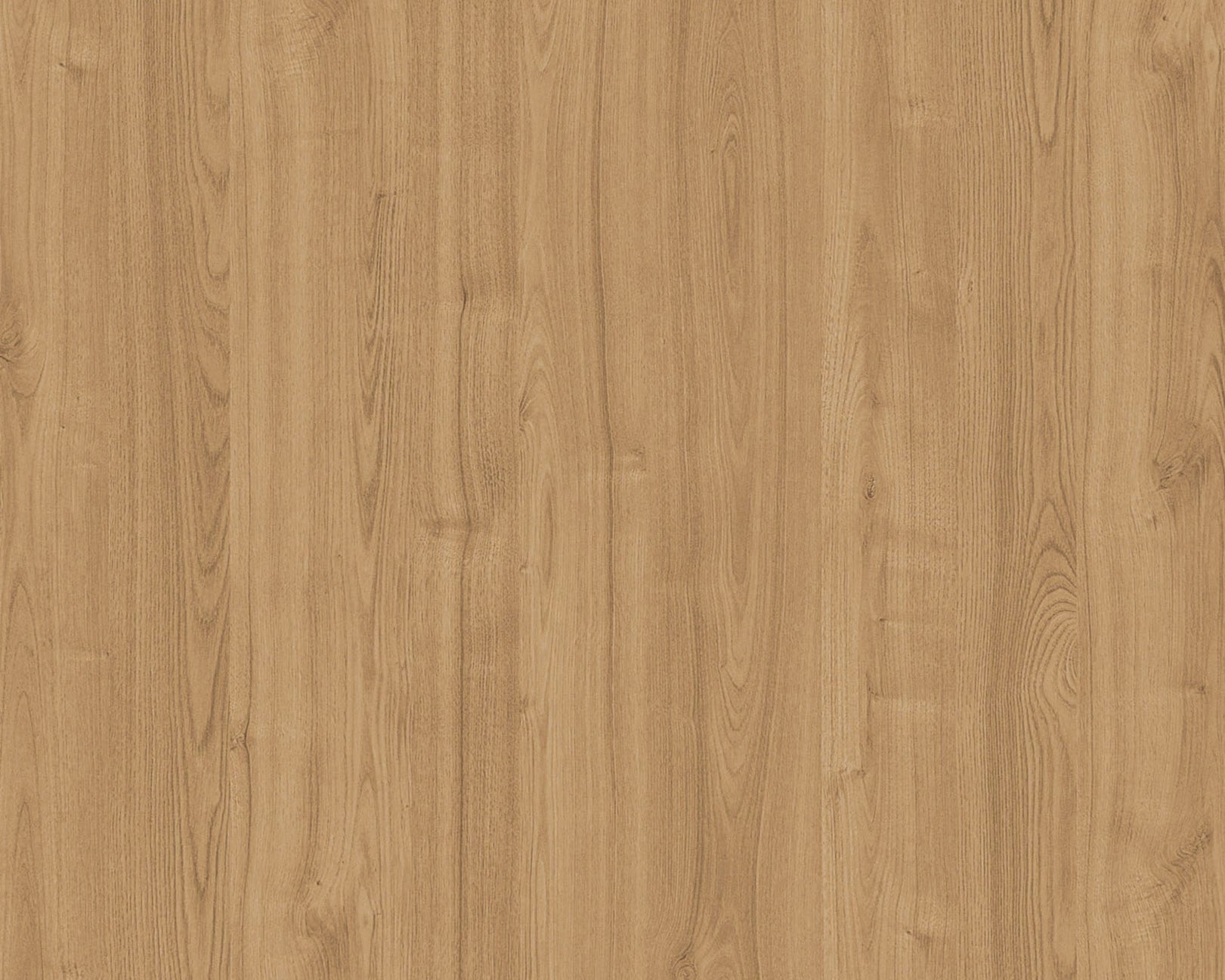 Nevada Elm