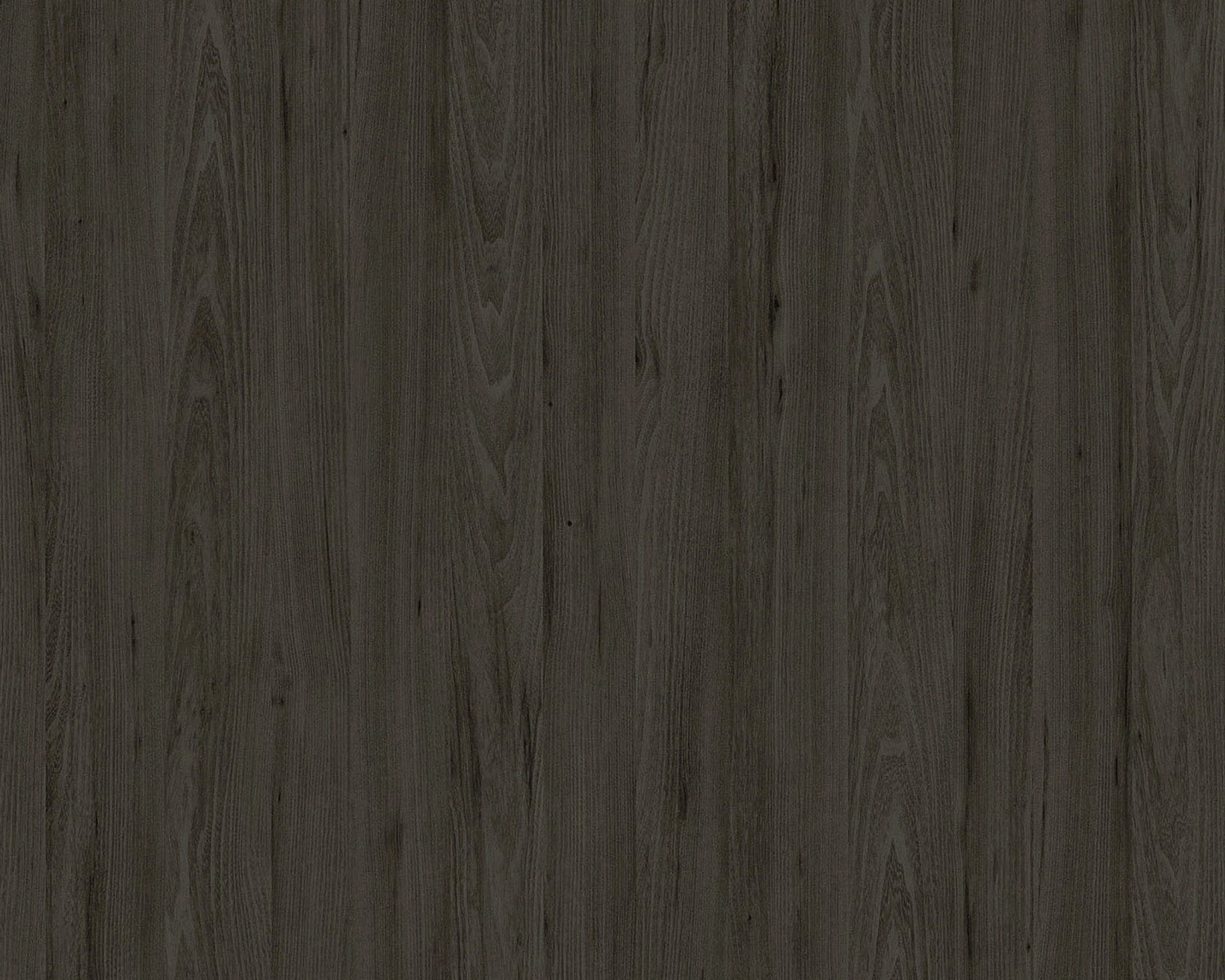 Valda Tivoli Elm Pro